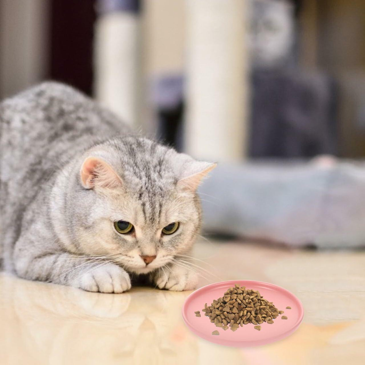 Whisker-Friendly Ceramic Cat Bowl