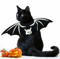Cat Bat Wings