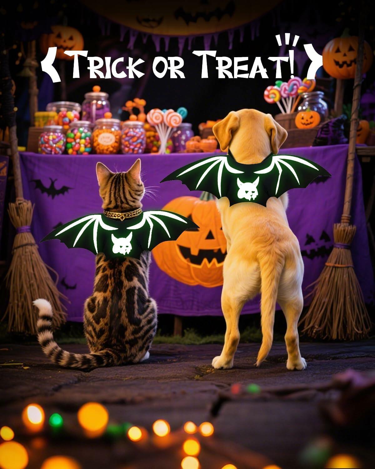 Cat Bat Wings