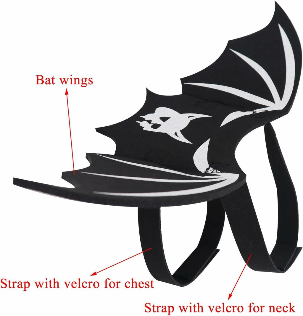 Cat Bat Wings