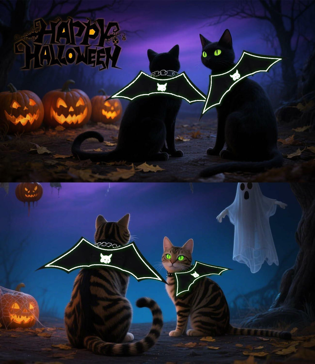 Cat Bat Wings