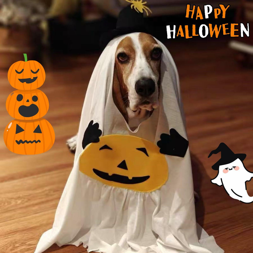 Pumpkin Ghost Pet Costume