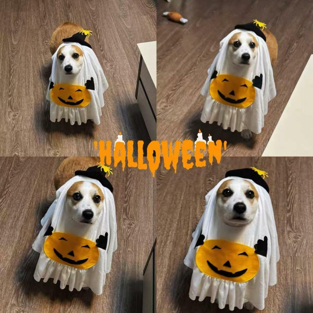 Pumpkin Ghost Pet Costume