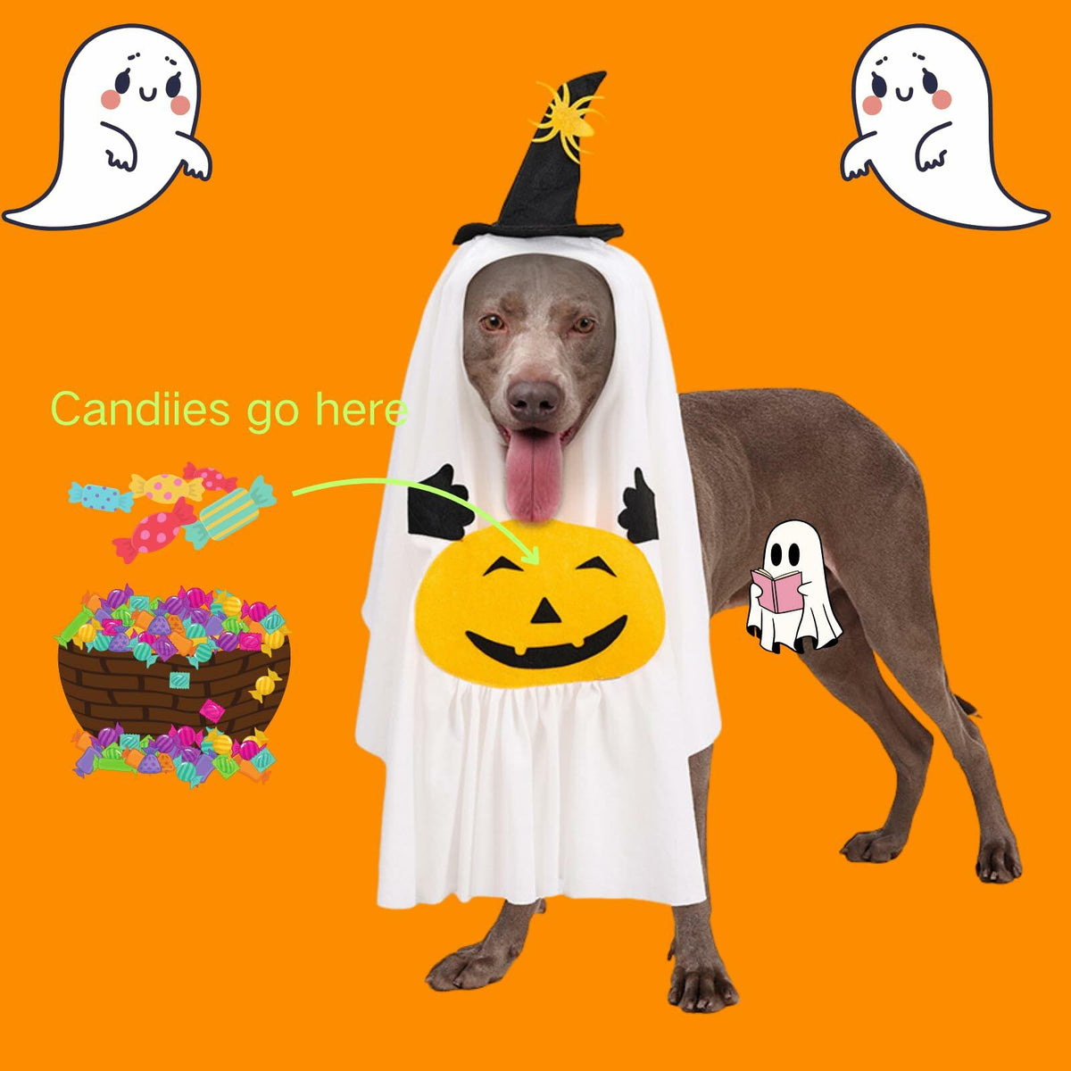 Pumpkin Ghost Pet Costume