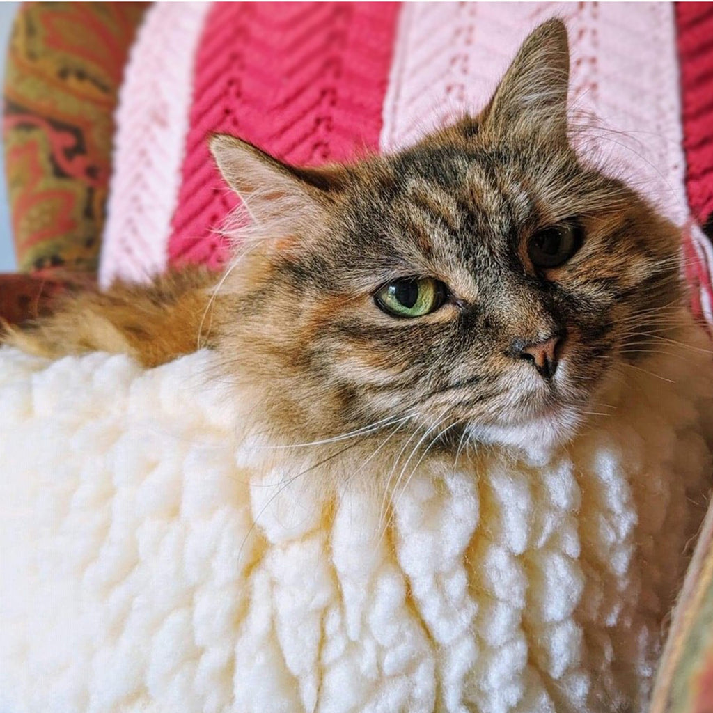HuggleSnuggler Fleece Bed