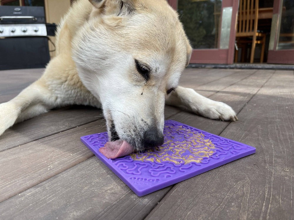 Bones Enrichment Lick Mat