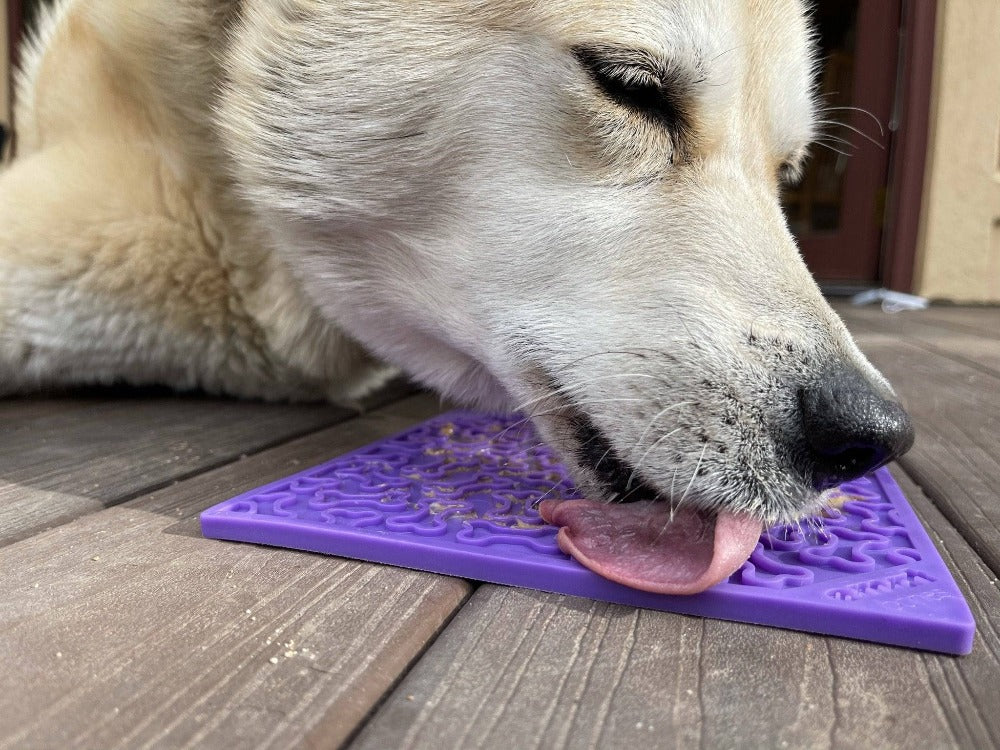 Bones Enrichment Lick Mat