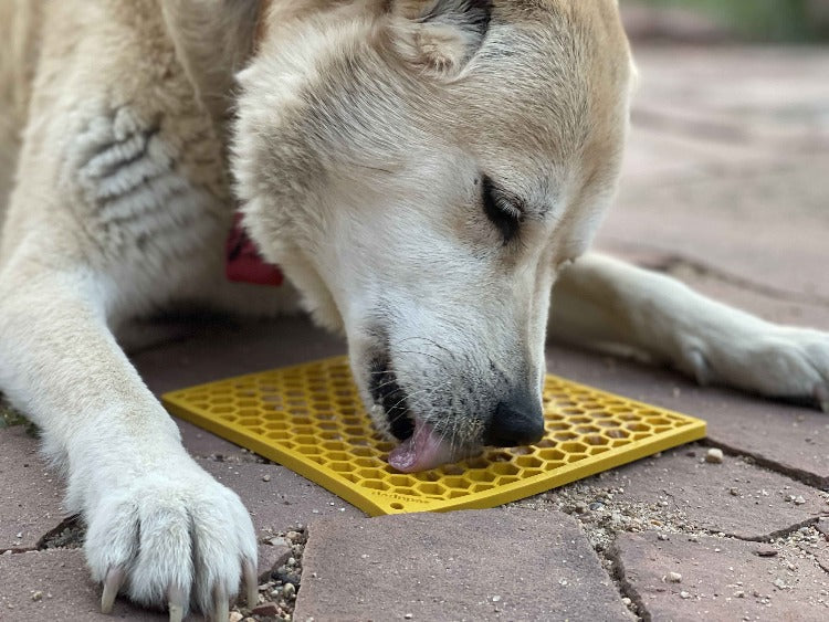 Honeycomb Enrichment Lick Mat